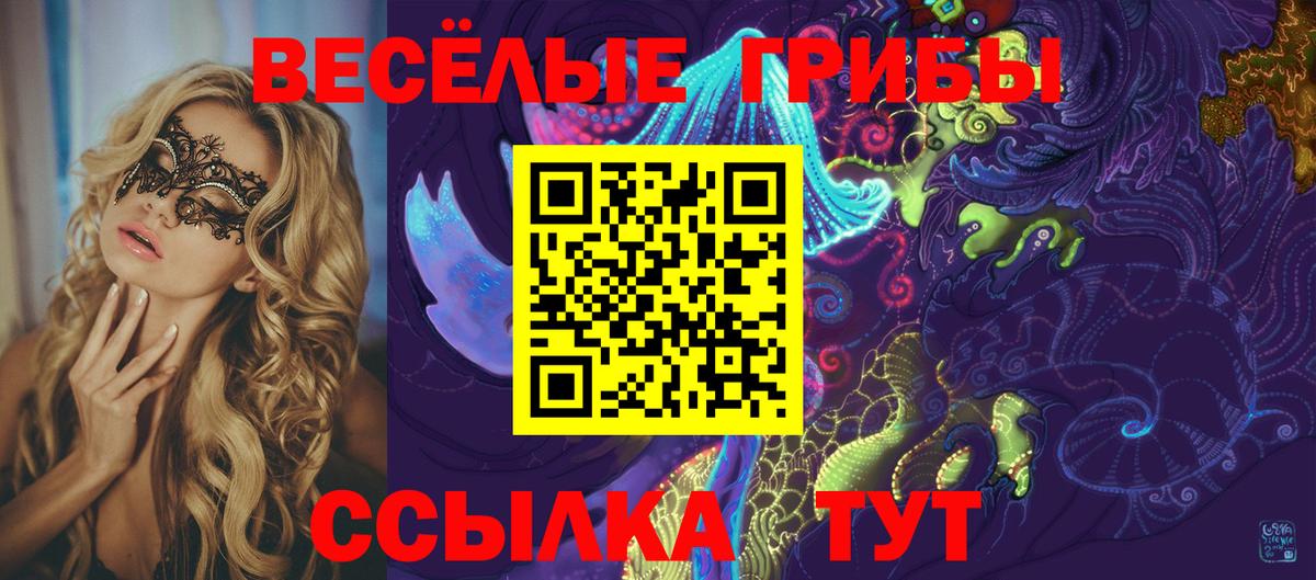 Псилоцибиновые грибы прущие грибы  Вход с VPN  Георгиевск 